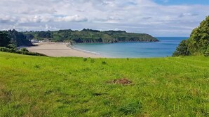 Un paisaje costero con un primer plano de hierba, una playa arenosa y un mar azul claro.