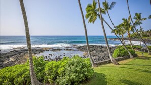 A coastal view with palm trees and a rocky shoreline. - Direct Ocean Front Luxury Condo (Kailua-Kona)