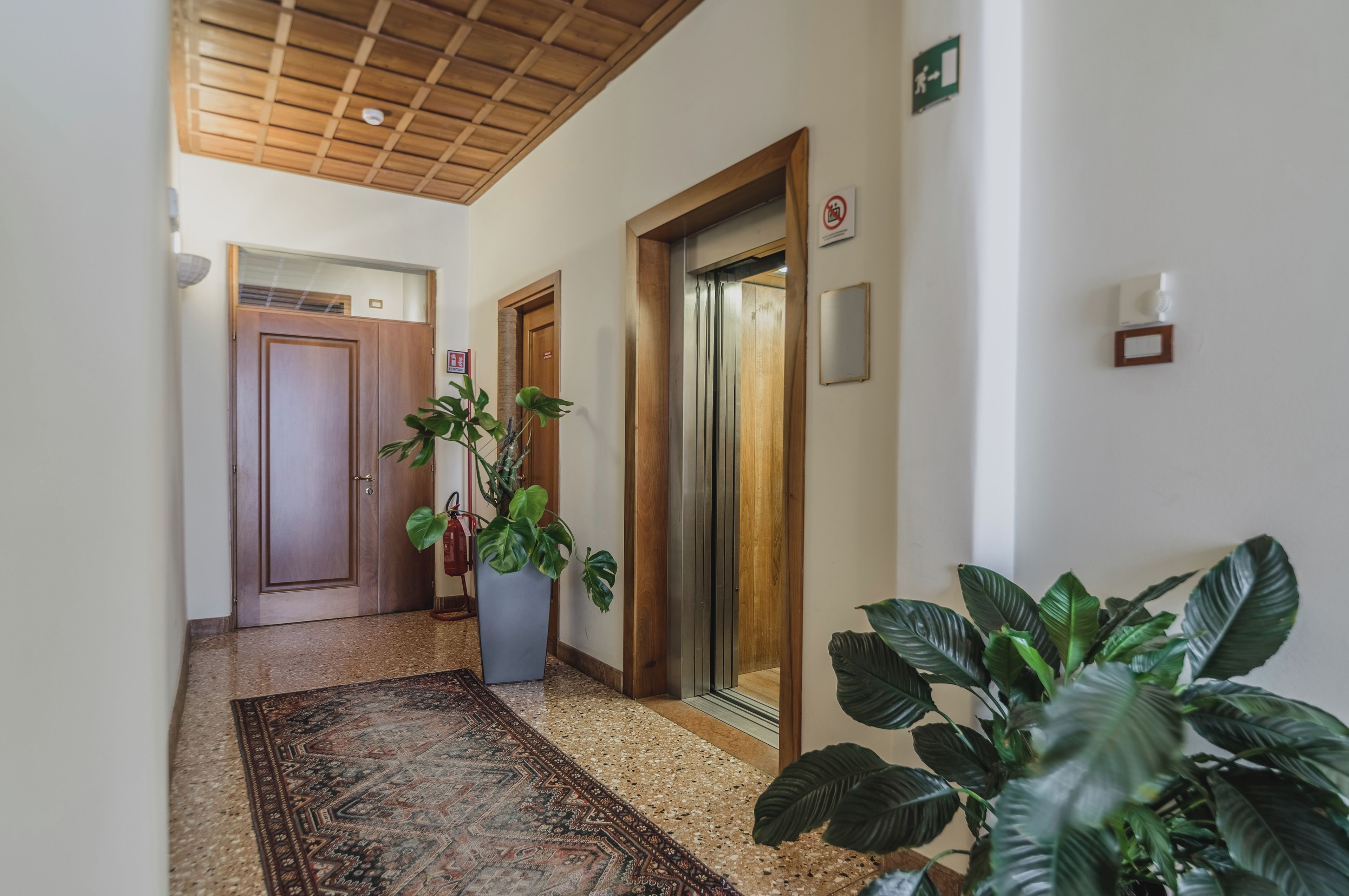 Un pasillo con techo de madera, alfombra estampada y plantas en macetas.