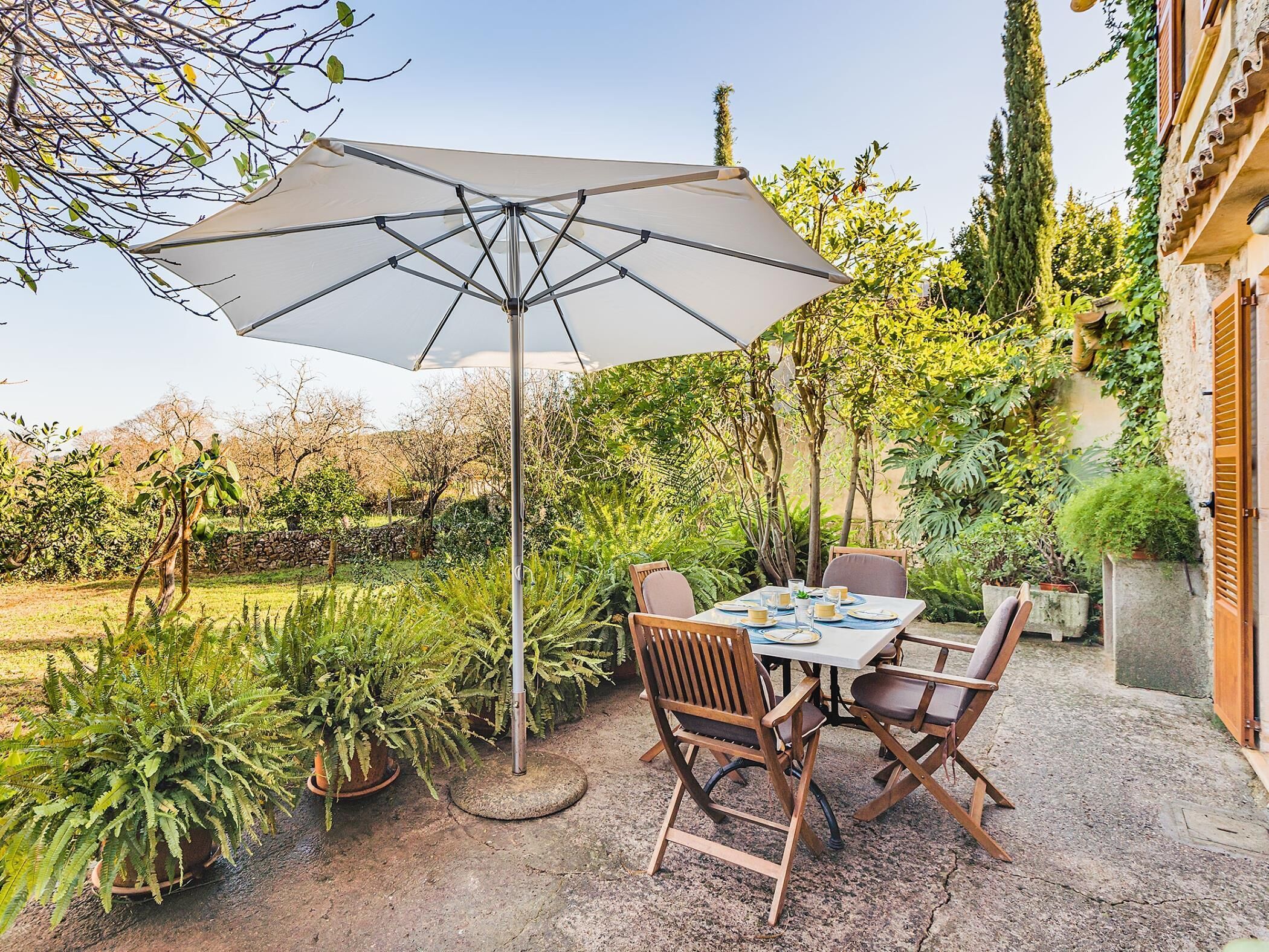 Une terrasse extérieure avec une table dressée pour deux personnes, entourée de plantes en pot et d’un grand parasol.