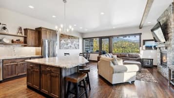 TV, fireplace, ping pong, video library