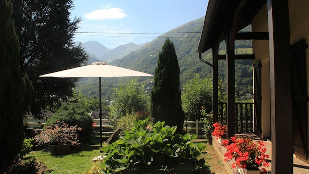 A garden with a patio area, a tall tree, and a mountain view in the background.