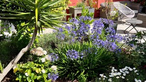 Een tuin met diverse planten en bloemen, een rode muur en tuinmeubilair.