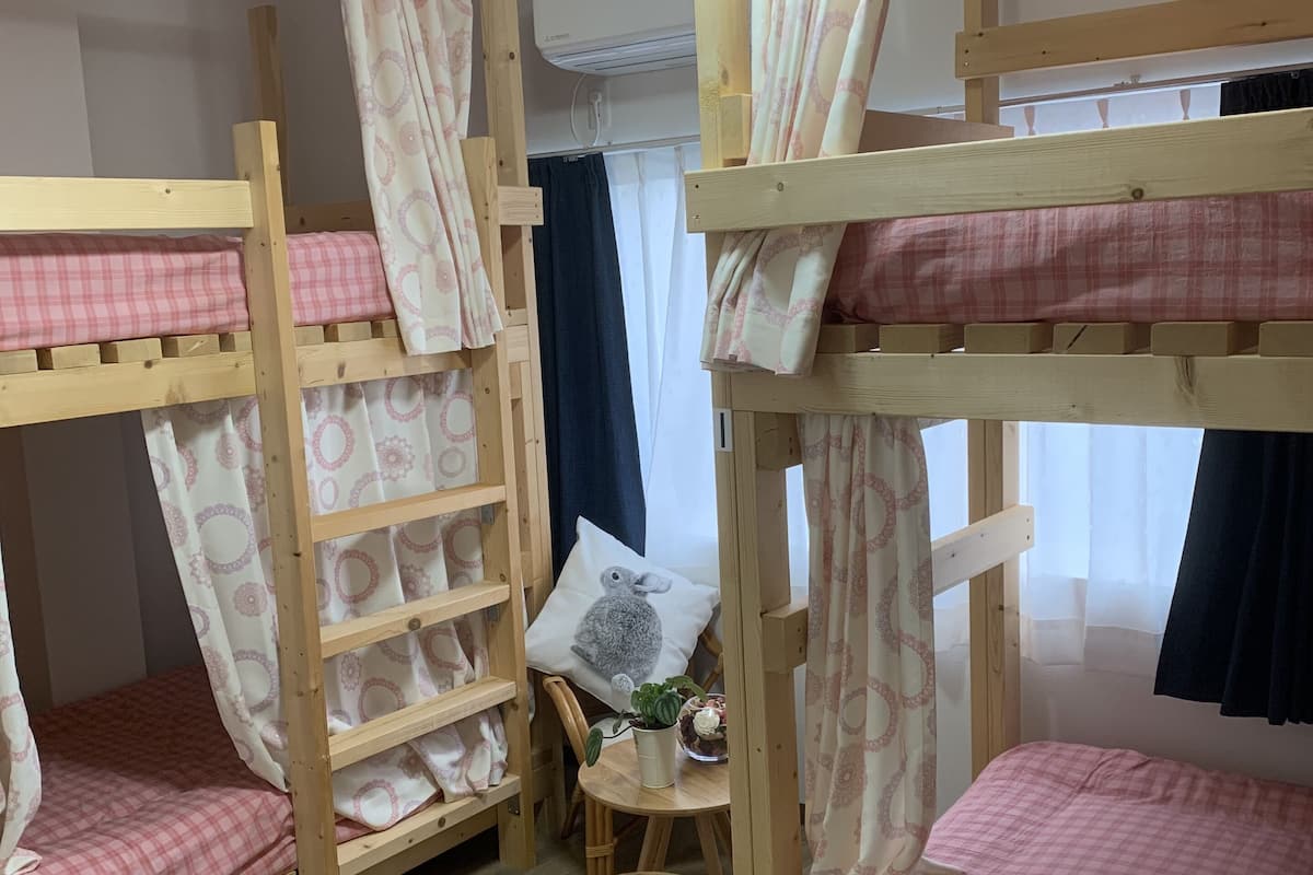 A bunk bed room with a small table and a potted plant.