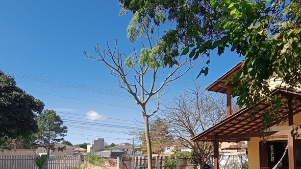 A swimming pool with a wooden deck and a hammock. - Comfortable house in Florianópolis |Moçambique Beach (Florianópolis)
