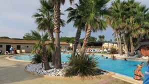 Un espace piscine agrémenté de palmiers, avec une piscine et des chaises longues.