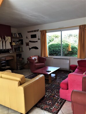 Télévision, cheminée, table de tennis de table, livres