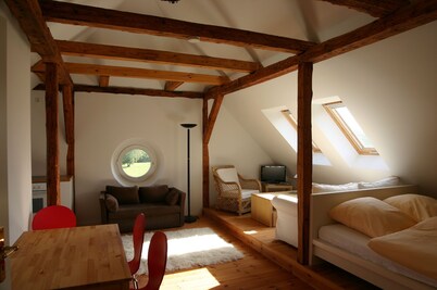 Art nouveau house in the Elbwiesen country house