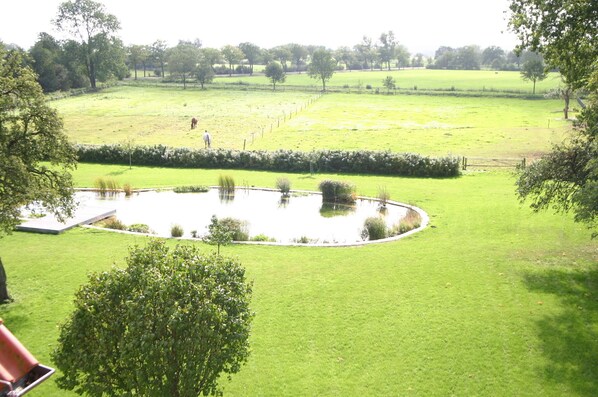 A grassy field with a pond, trees, and a fence.