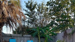 A swimming pool with two blue lounge chairs and a potted plant. - Near Hospital & Shopping Centers- 3/2 with pool (Lafayette)