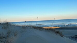 Ein Strand mit Dünen und vereinzelter Vegetation.