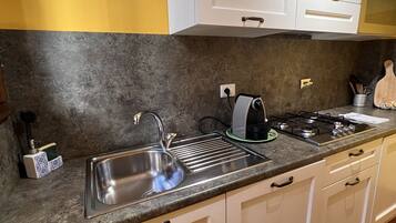 Deluxe Apartment | Private kitchen | Fridge, microwave