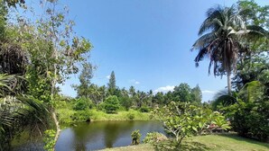 A serene outdoor setting with a pond, lush greenery, and palm trees. - Resort house - 2 min walk to the beach (Amphoe Bang Saphan)