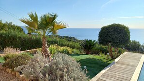 Ein angelegter Garten mit Pool, einer Palme und Blick auf das Meer.