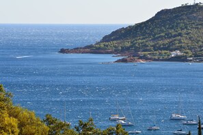 Jachthaven
