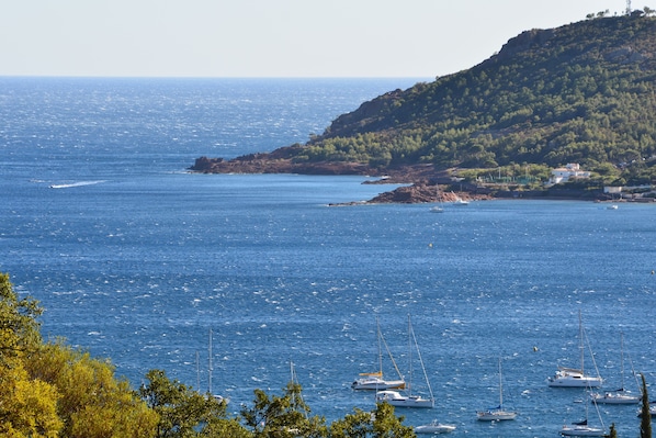 Vista costera con varios veleros anclados cerca de una costa rocosa con vegetación escasa.