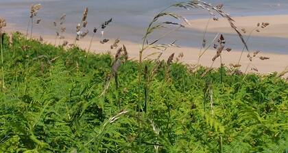 Family owned static caravan on Newperran Holiday Resort.