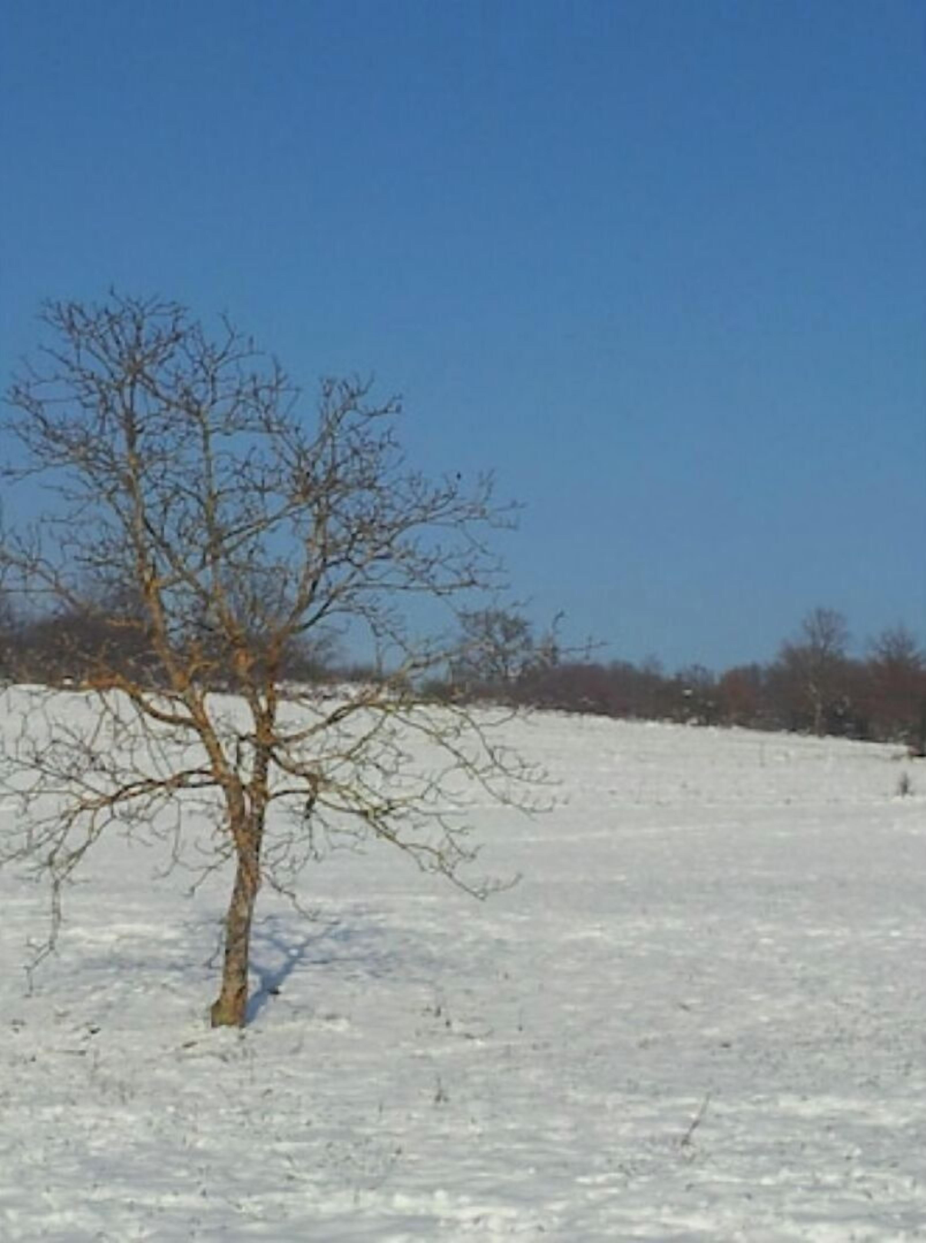 منوع