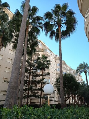 A multi-story building with balconies, surrounded by tall palm trees and dense shrubbery.