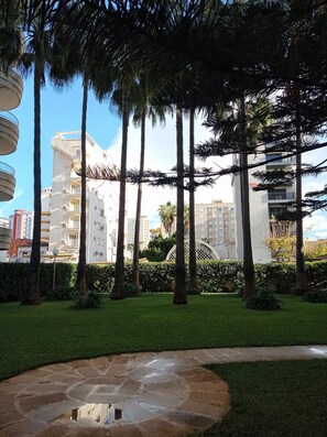 A courtyard with palm trees, a stone pathway, and modern buildings in the background.