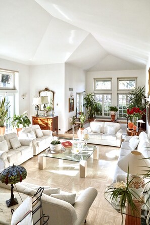 TV, lareira, aparelho de som