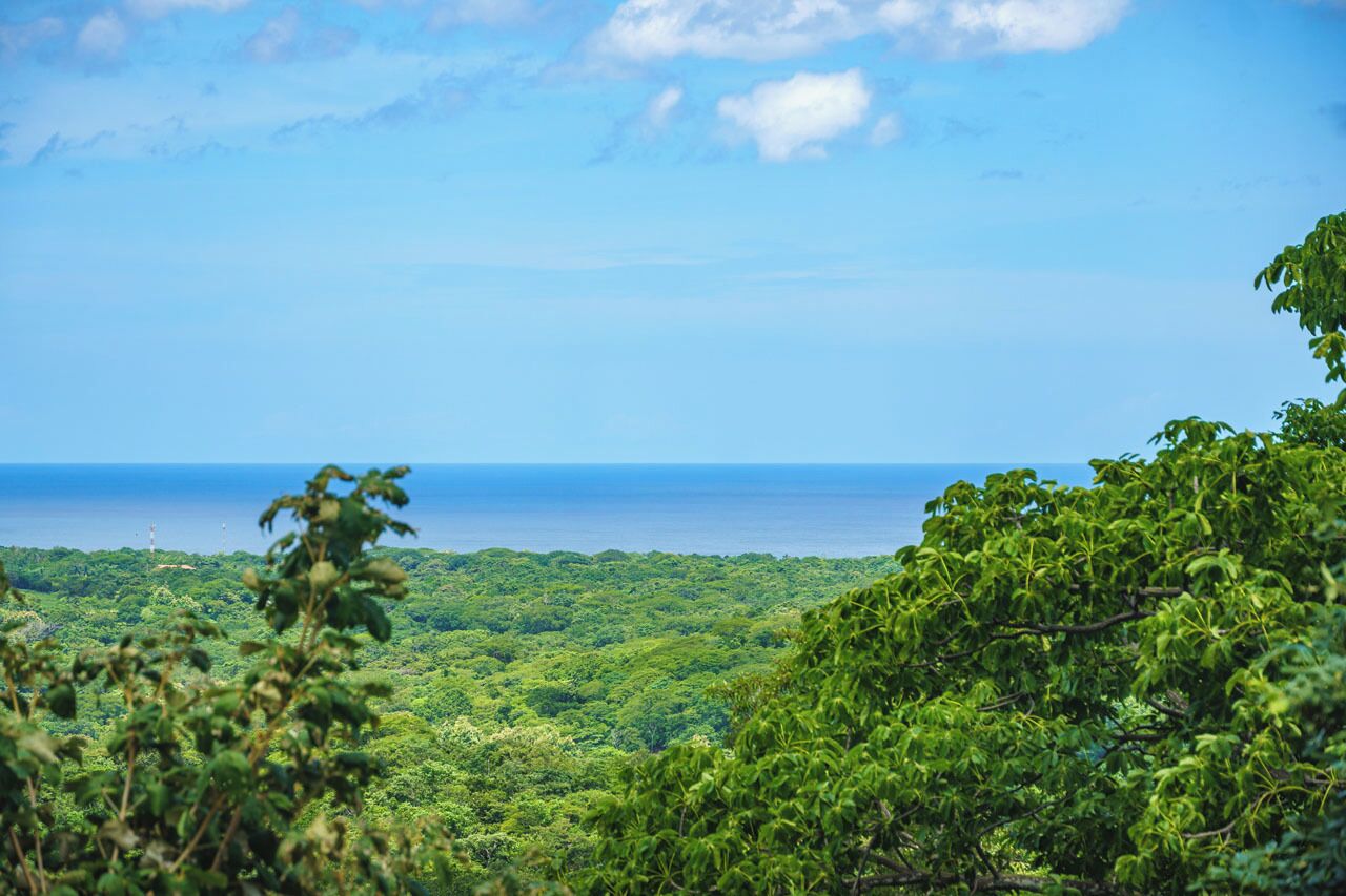 Paisagem verde exuberante, com folhagem densa e uma vista ampla do oceano.