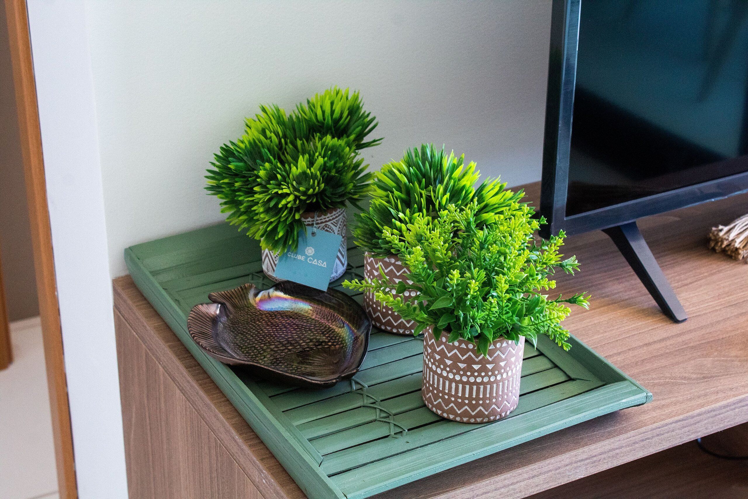 A wooden shelf with three potted plants and a decorative bowl.