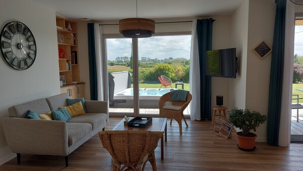 Smart TV, fireplace, books