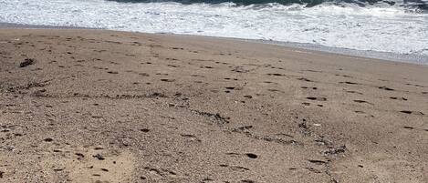 Ubicación a pie de playa