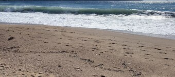 Lava Plage - Feet in the water