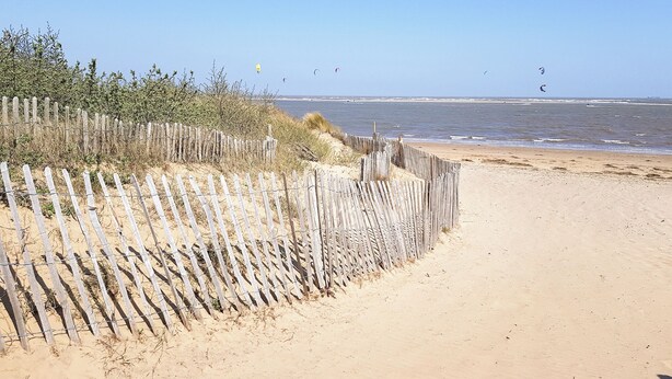 Ein Sandstrand mit Holzzaun und spärlicher Vegetation.