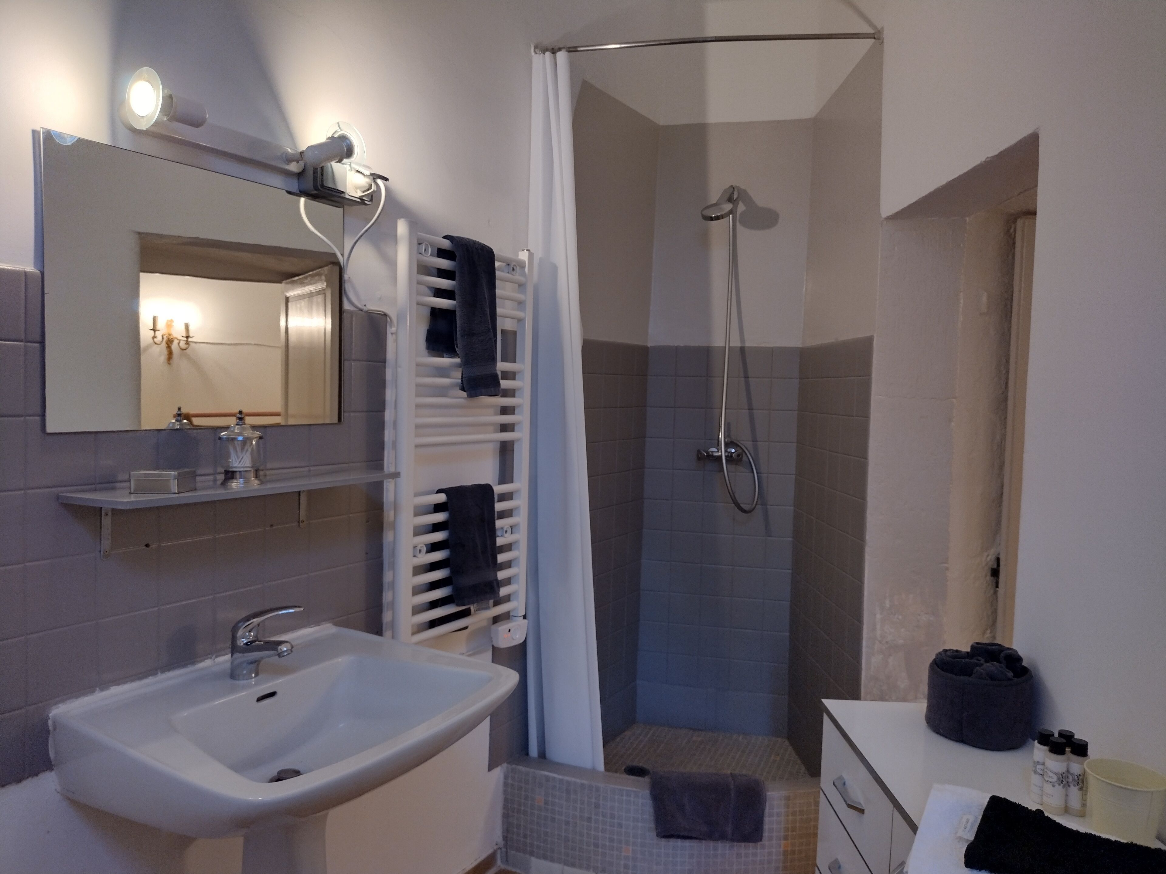 Shower, hair dryer, bidet, towels