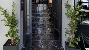 A modern entrance with a black tiled floor, a staircase leading inside, and two potted plants on either side. - Clyde Athens by Nin&Bau (Athens)