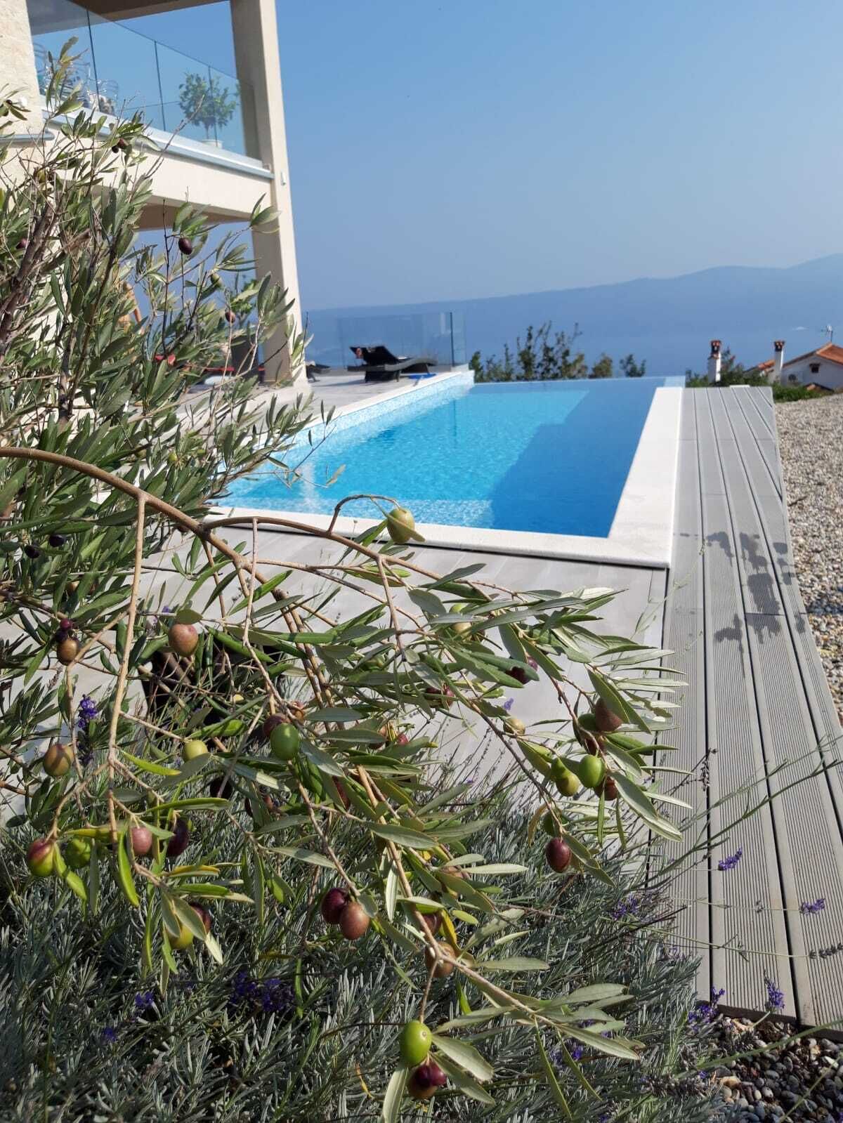 Une piscine extérieure offrant une vue dégagée sur la mer, entourée d’oliviers et dotée d’une terrasse en bois.