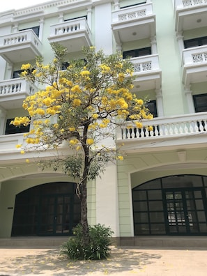 Property grounds - Kalia Hotel (Phu Quoc)