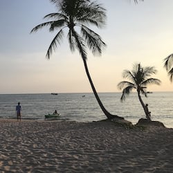 Plage, sable blanc, chaises longues, parasols