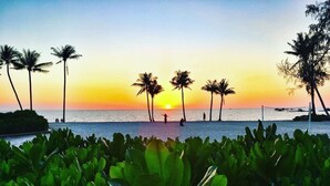 A beach scene with palm trees and a sunset. - Kalia Hotel (Phu Quoc)