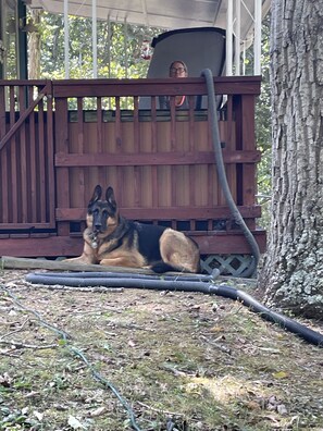 Enceinte de l’hébergement