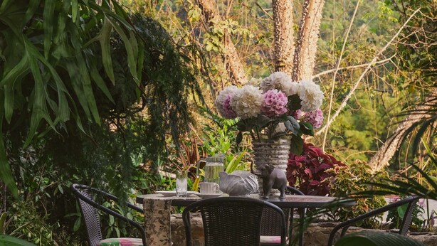 Un patio con una mesa y sillas, rodeado de abundante vegetación y piso de piedra.