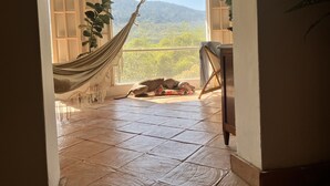 Una habitación con una hamaca, un perro y vistas a la montaña.
