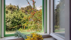 Une fenêtre donnant sur un jardin, avec un arbre aux fleurs rouges et un tas de fleurs jaunes sur le rebord de la fenêtre.