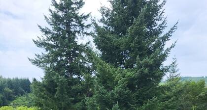 Maison avec vue imprenable sur la chaine des puys