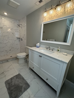 Shower, hair dryer, towels, toilet paper