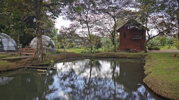 Ngoại thất