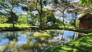 Un cadre extérieur paisible avec un étang, des arbres et un petit bâtiment.
