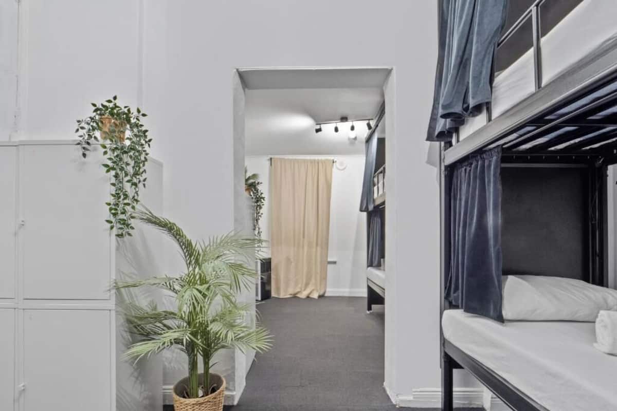 A narrow hallway with bunk beds on one side, a potted plant, and a door leading to another room.
