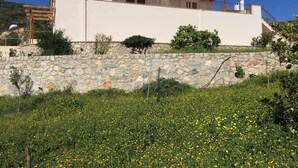 Una casa a due piani con un muro in pietra e un giardino pieno di fiori gialli.