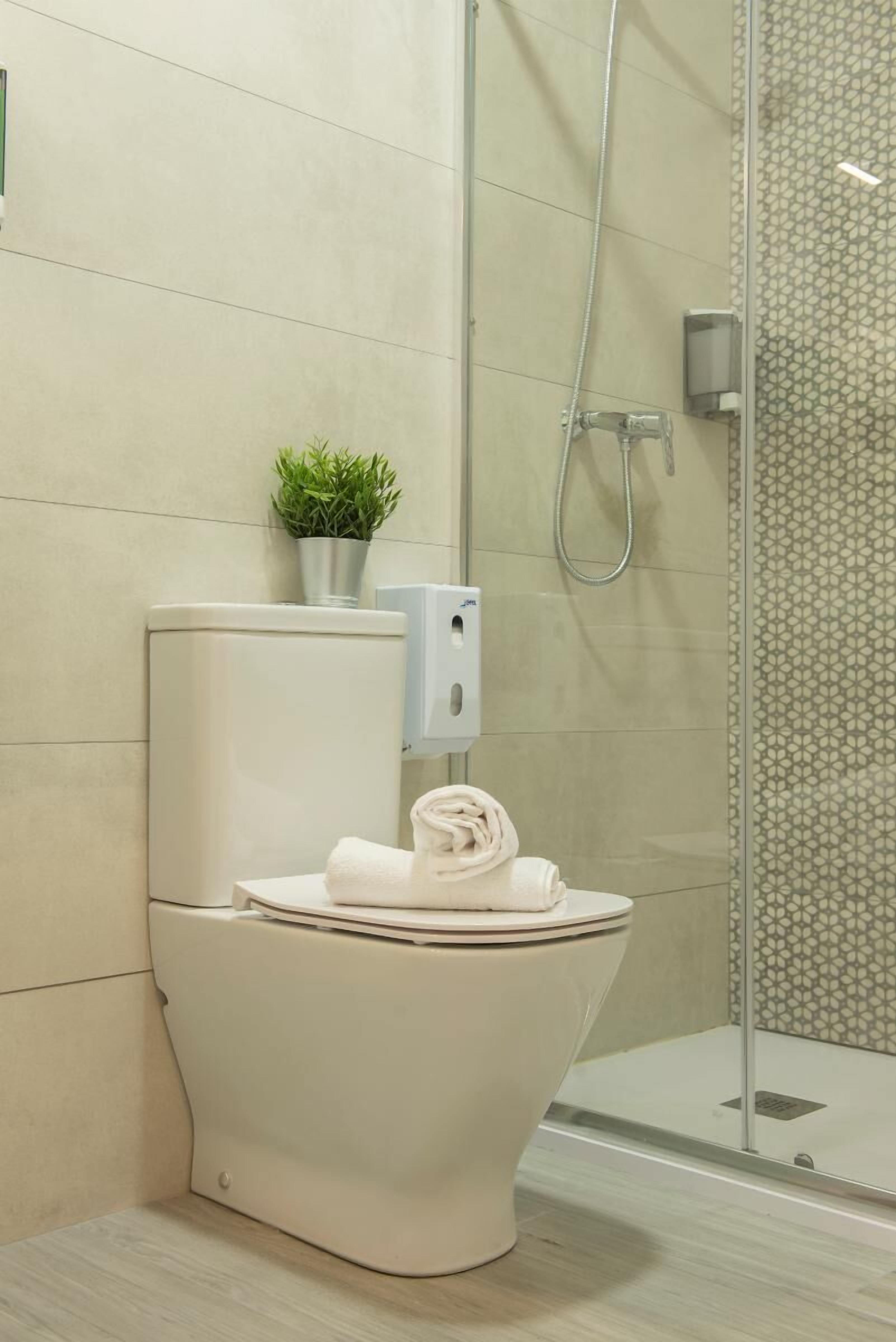Un baño moderno con inodoro, cabina de ducha de vidrio y una pequeña planta en el tanque.