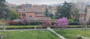 Property grounds - Santa Viola Large studio with terrace, Jacuzzi (Bologna)