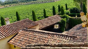 Exterior - Beautiful Provençal manor house in award winning vineyard (Carnoules)